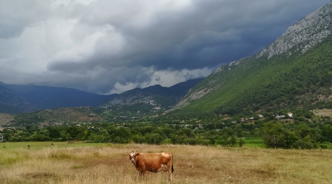 Debar – Burrel (Albània)