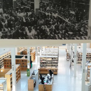 La biblioteca Montserrat Abelló